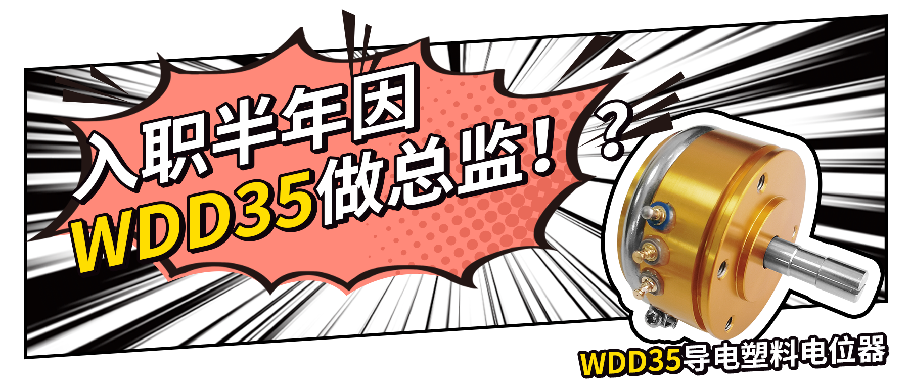 入職半年因WDD35做總監(jiān)？！